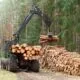 Crane carrying big big logs