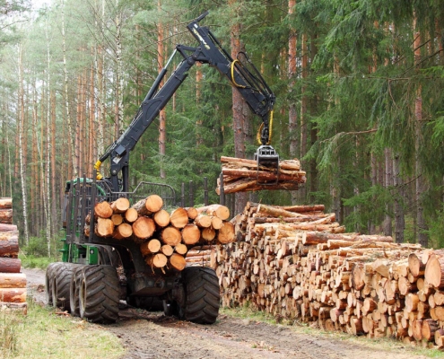 Crane carrying big big logs