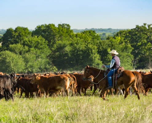 Where Regulatory Reform In Rural America Is Needed Most